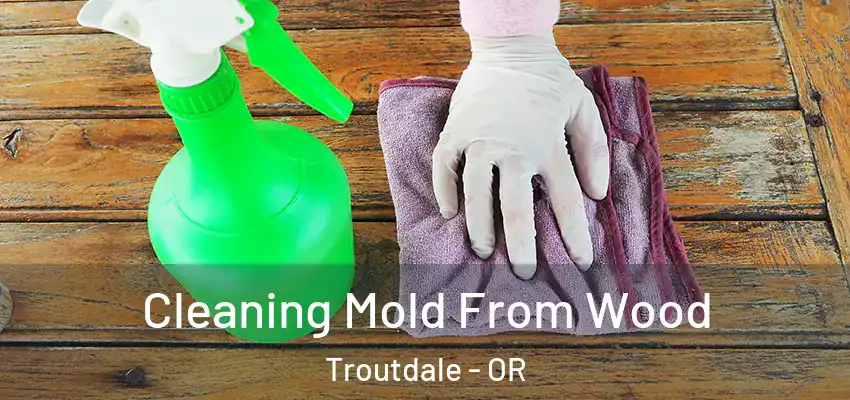  Cleaning Mold From Wood Troutdale - OR