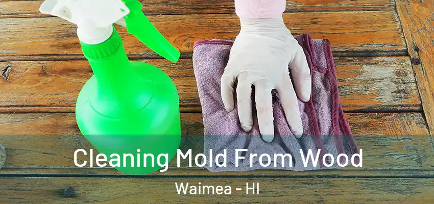  Cleaning Mold From Wood Waimea - HI
