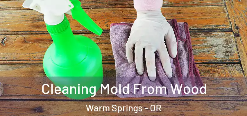  Cleaning Mold From Wood Warm Springs - OR
