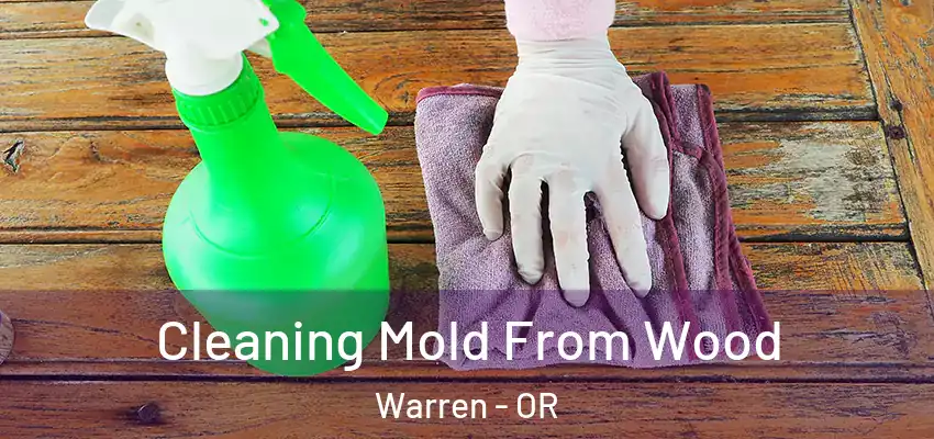  Cleaning Mold From Wood Warren - OR