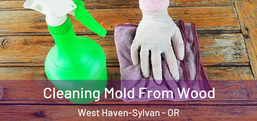  Cleaning Mold From Wood West Haven-Sylvan - OR
