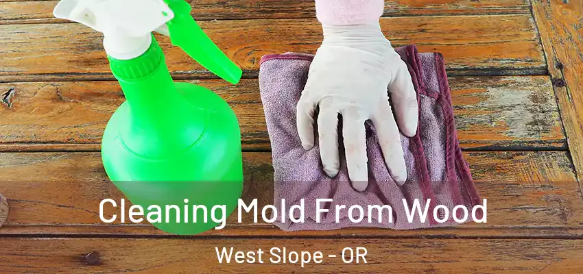  Cleaning Mold From Wood West Slope - OR