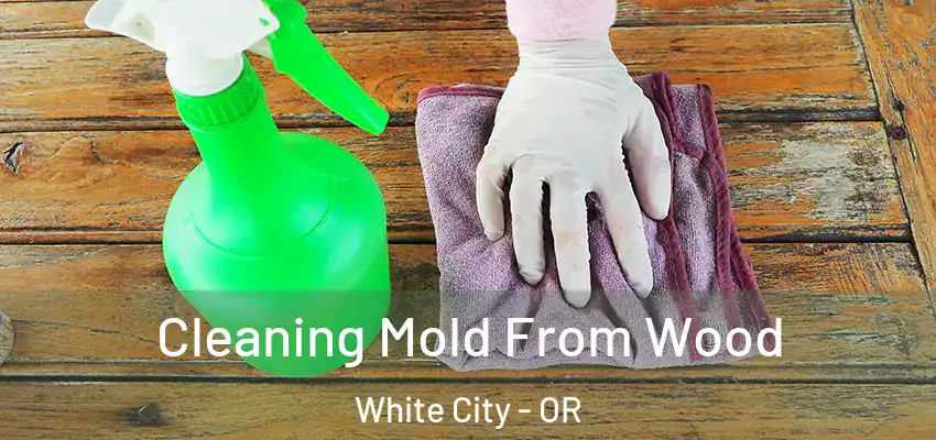  Cleaning Mold From Wood White City - OR