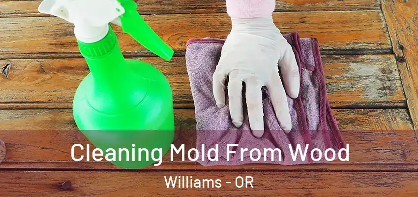  Cleaning Mold From Wood Williams - OR