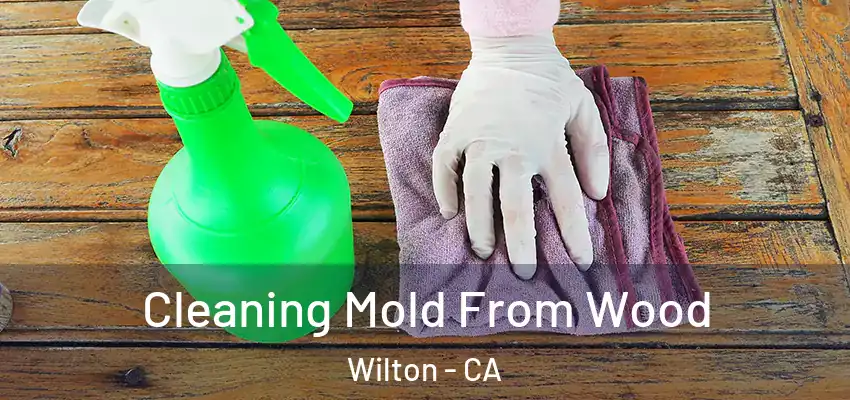  Cleaning Mold From Wood Wilton - CA