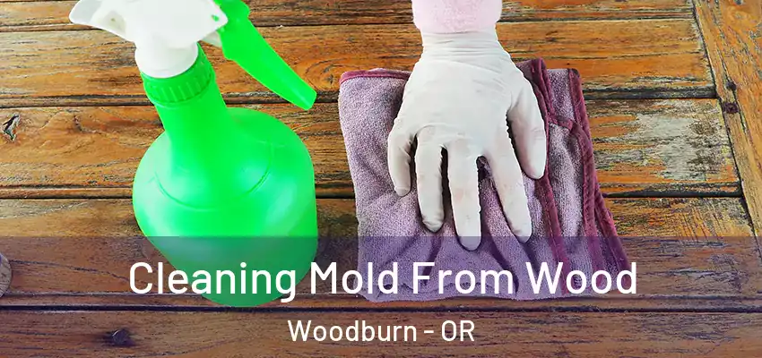  Cleaning Mold From Wood Woodburn - OR
