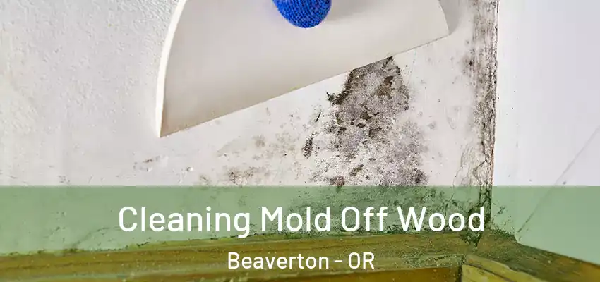  Cleaning Mold Off Wood Beaverton - OR