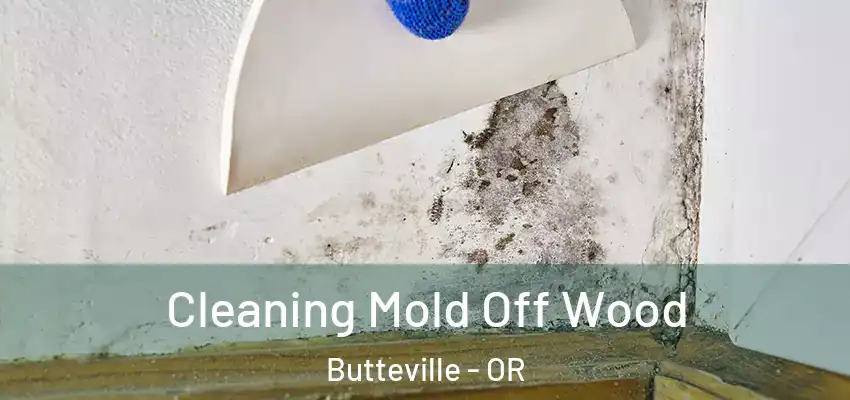  Cleaning Mold Off Wood Butteville - OR