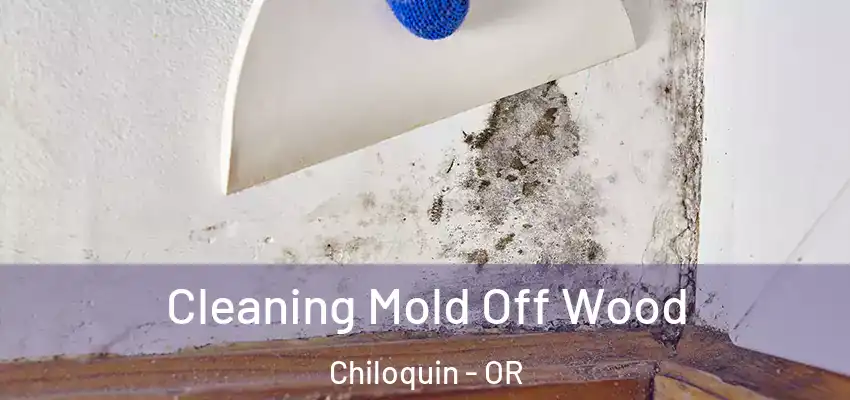  Cleaning Mold Off Wood Chiloquin - OR