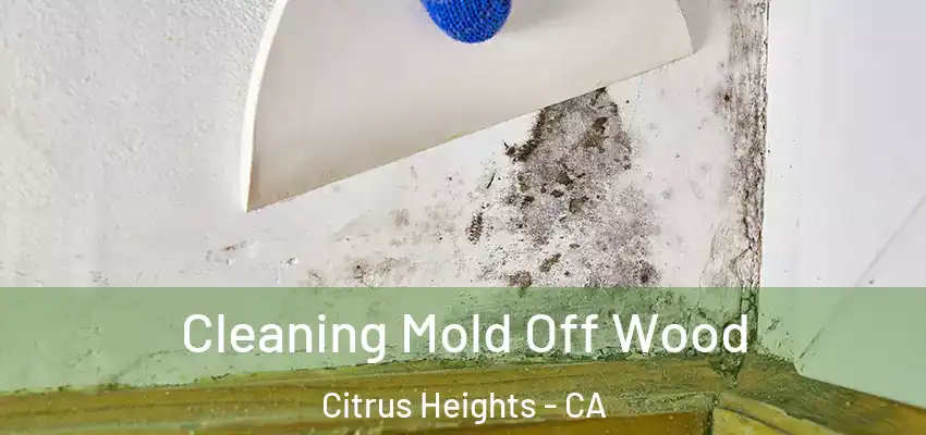  Cleaning Mold Off Wood Citrus Heights - CA