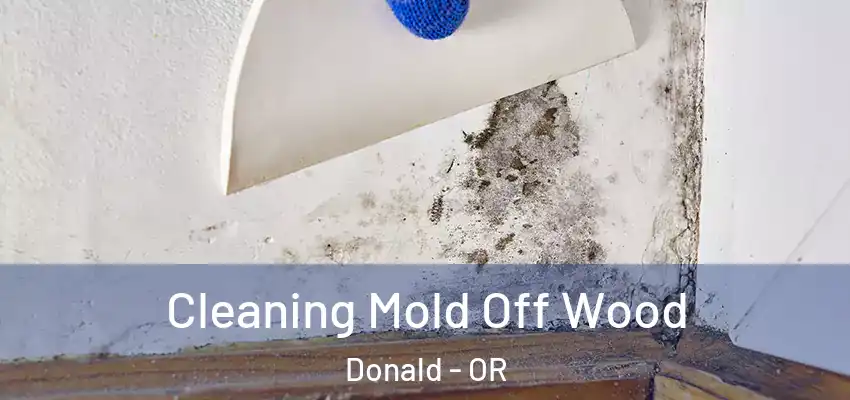  Cleaning Mold Off Wood Donald - OR