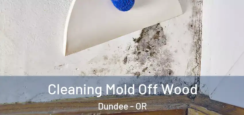  Cleaning Mold Off Wood Dundee - OR