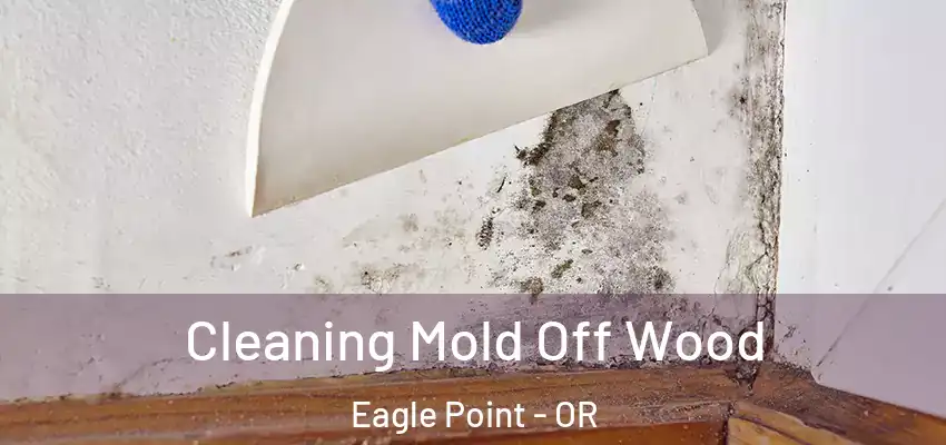  Cleaning Mold Off Wood Eagle Point - OR
