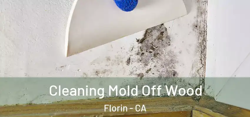  Cleaning Mold Off Wood Florin - CA