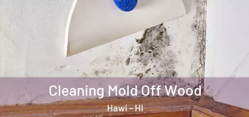  Cleaning Mold Off Wood Hawi - HI