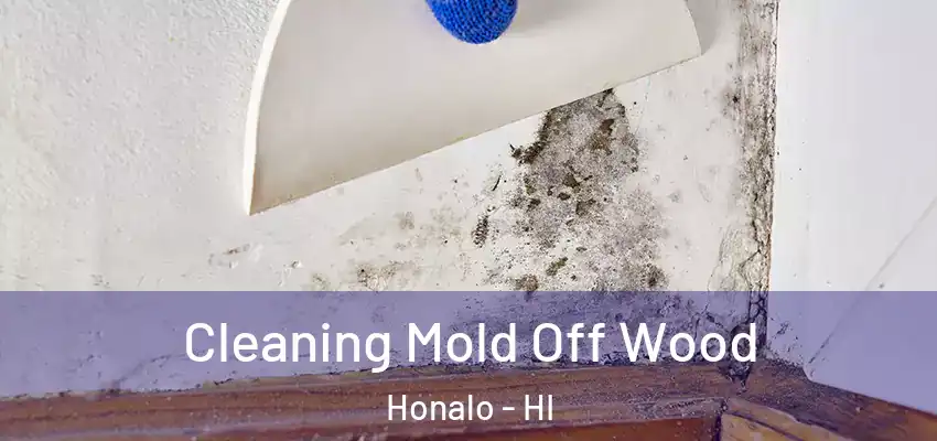  Cleaning Mold Off Wood Honalo - HI