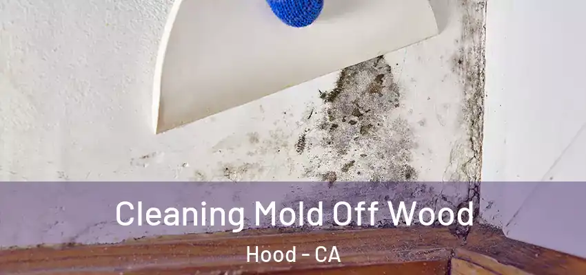  Cleaning Mold Off Wood Hood - CA