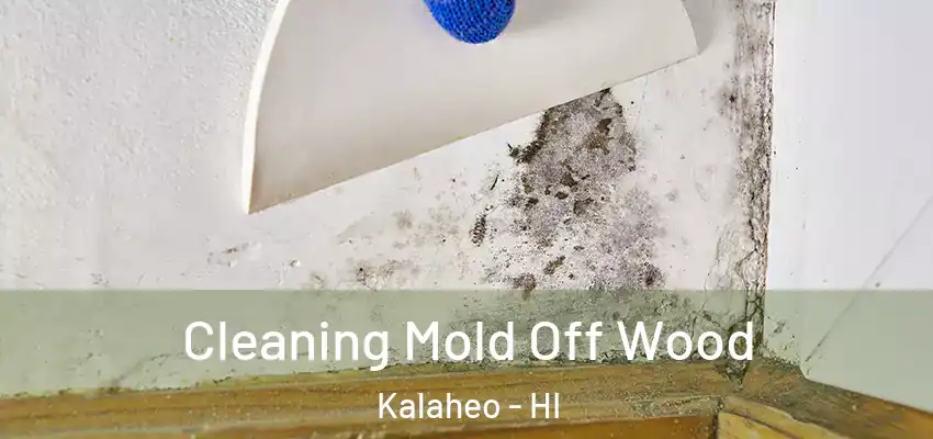  Cleaning Mold Off Wood Kalaheo - HI