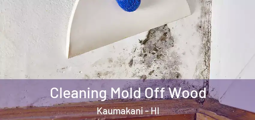  Cleaning Mold Off Wood Kaumakani - HI