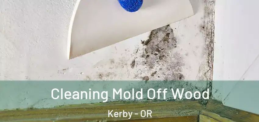  Cleaning Mold Off Wood Kerby - OR