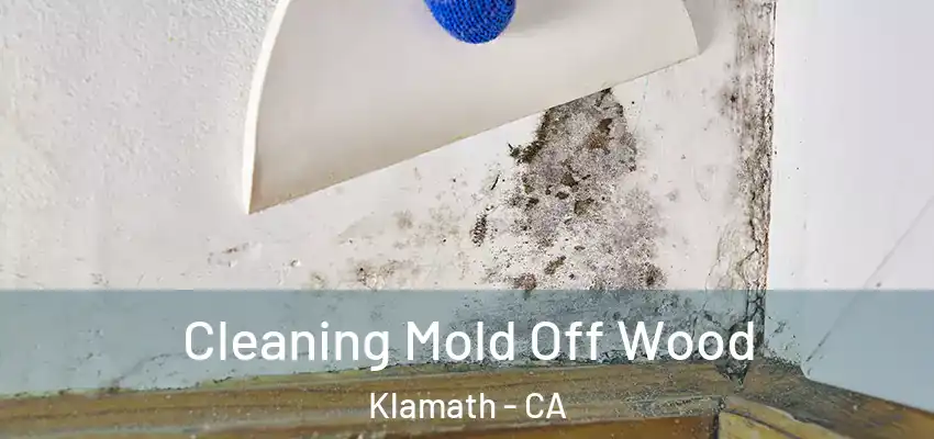  Cleaning Mold Off Wood Klamath - CA