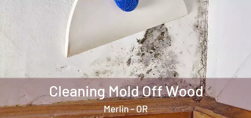 Cleaning Mold Off Wood Merlin - OR