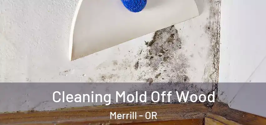 Cleaning Mold Off Wood Merrill - OR