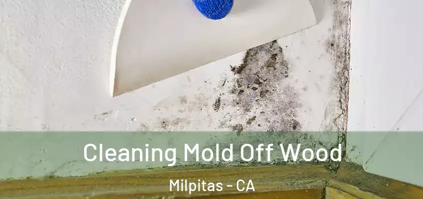 Cleaning Mold Off Wood Milpitas - CA