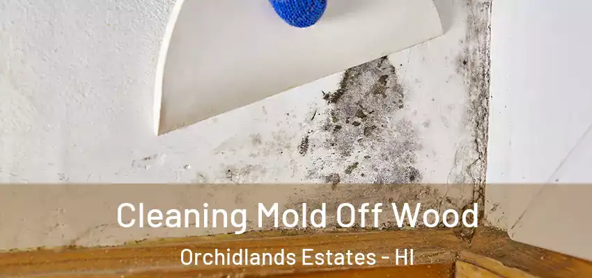  Cleaning Mold Off Wood Orchidlands Estates - HI