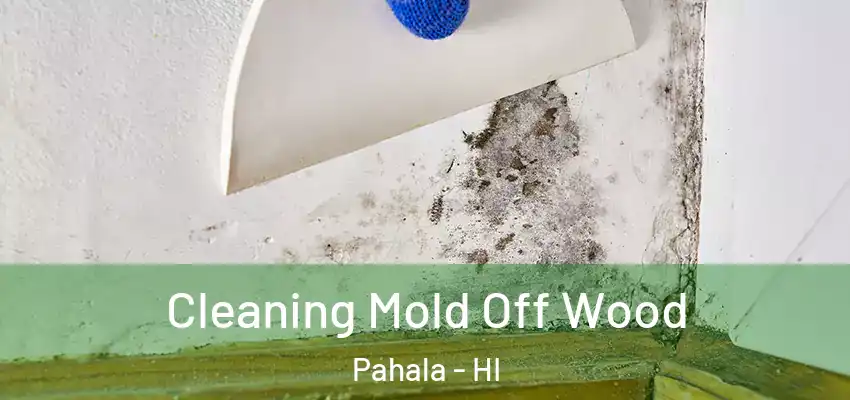  Cleaning Mold Off Wood Pahala - HI