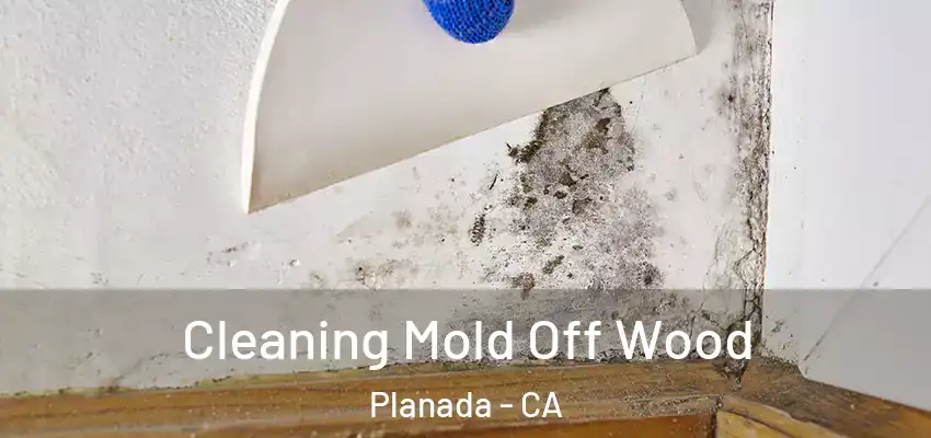  Cleaning Mold Off Wood Planada - CA