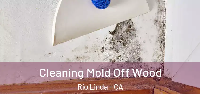  Cleaning Mold Off Wood Rio Linda - CA