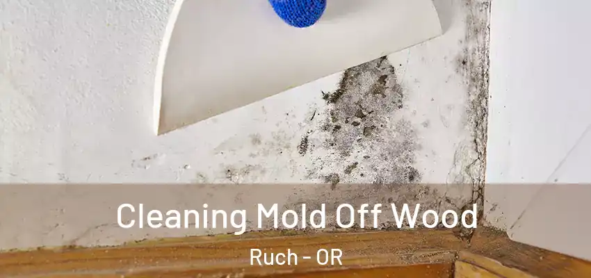  Cleaning Mold Off Wood Ruch - OR