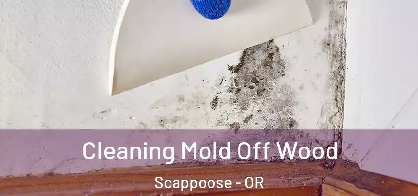 Cleaning Mold Off Wood Scappoose - OR