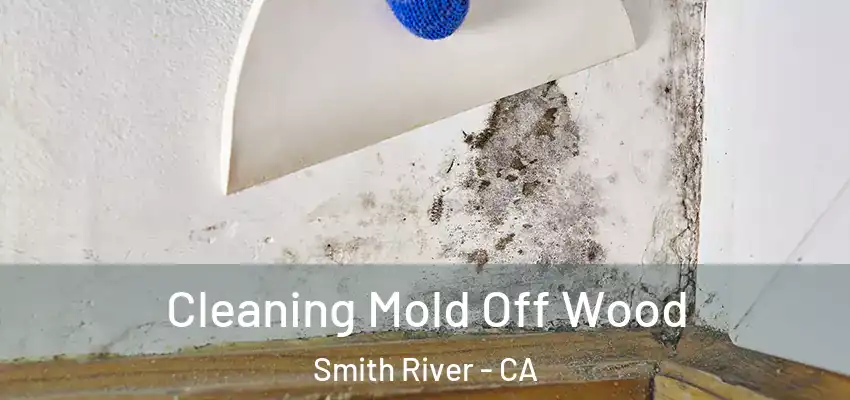  Cleaning Mold Off Wood Smith River - CA