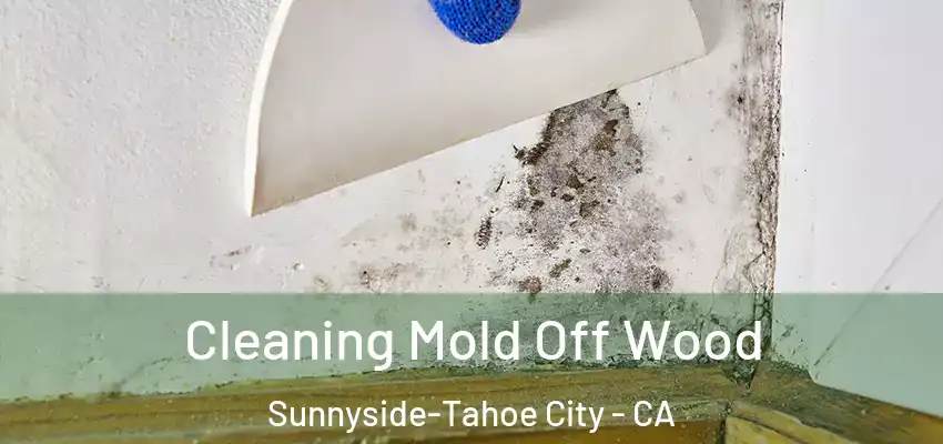  Cleaning Mold Off Wood Sunnyside-Tahoe City - CA