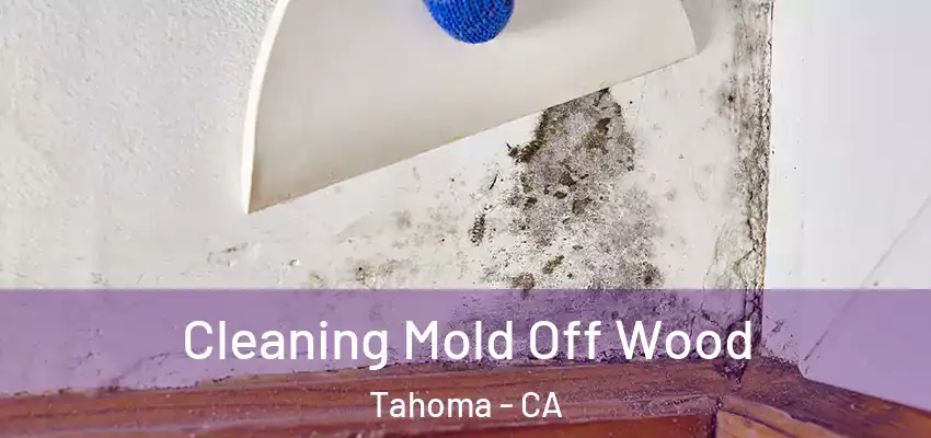  Cleaning Mold Off Wood Tahoma - CA