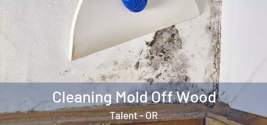 Cleaning Mold Off Wood Talent - OR