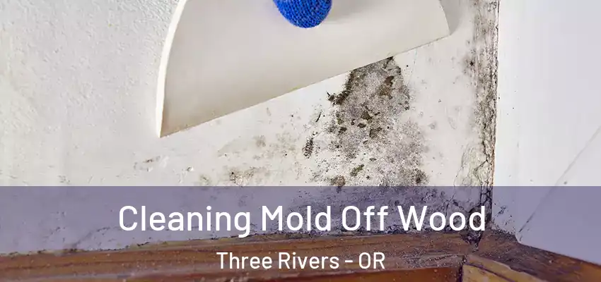 Cleaning Mold Off Wood Three Rivers - OR