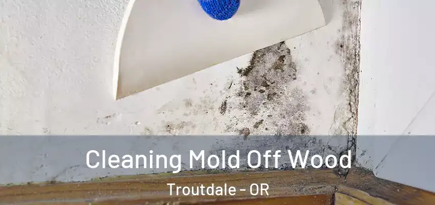  Cleaning Mold Off Wood Troutdale - OR