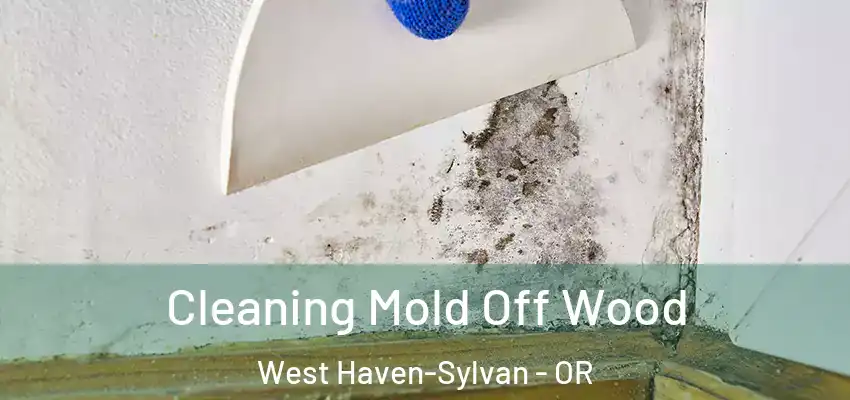  Cleaning Mold Off Wood West Haven-Sylvan - OR
