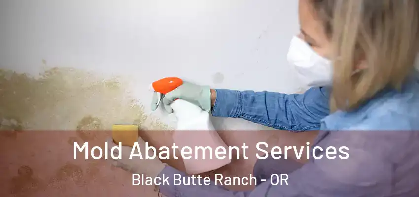  Mold Abatement Services Black Butte Ranch - OR