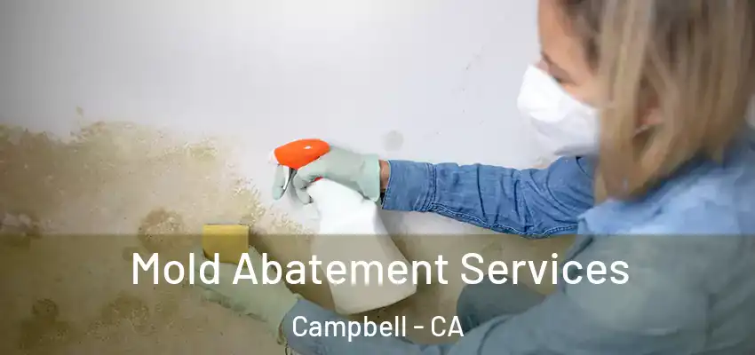  Mold Abatement Services Campbell - CA