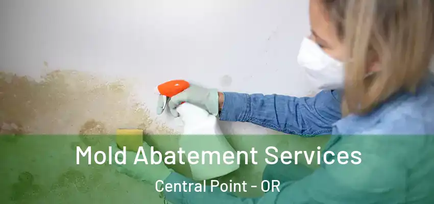  Mold Abatement Services Central Point - OR