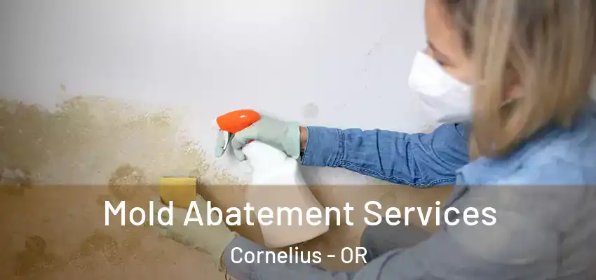  Mold Abatement Services Cornelius - OR