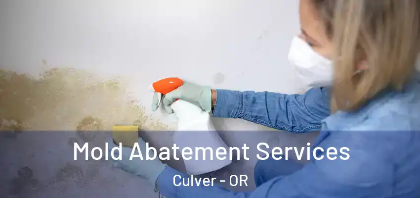 Mold Abatement Services Culver - OR
