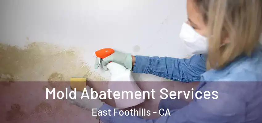  Mold Abatement Services East Foothills - CA