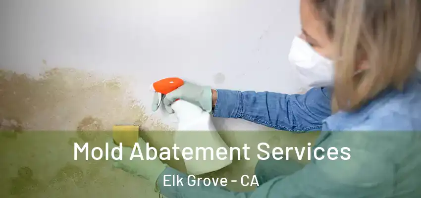 Mold Abatement Services Elk Grove - CA