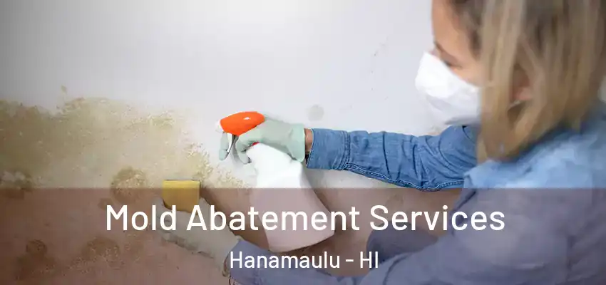  Mold Abatement Services Hanamaulu - HI