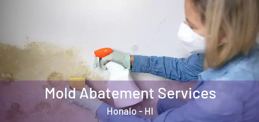  Mold Abatement Services Honalo - HI